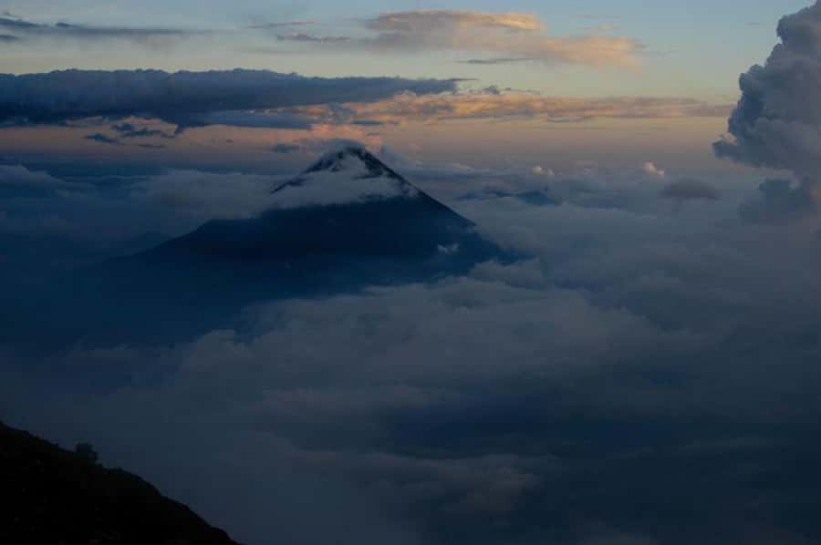 1 Day Acatenango Volcano Hike from Antigua - Stage 2: Cloud forest with older trees and real biodiversity