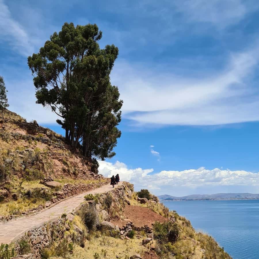 2-Day Amantani Island homestay overnight Tour from Puno - Price and logistics: how $89 fits the value of three islands