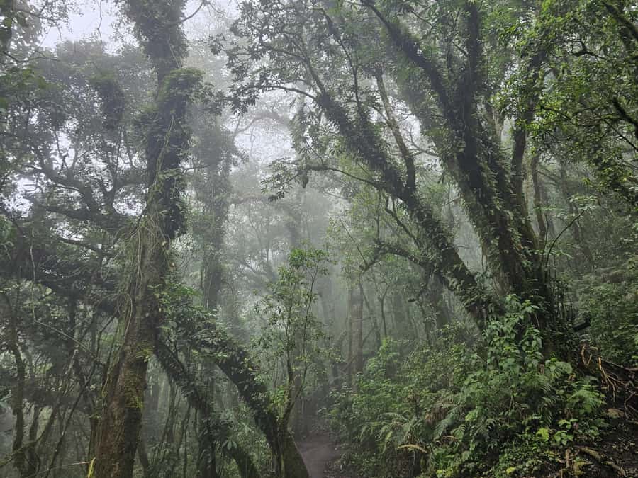 2-day tour from Antigua 1 night in Acatenango Volcano - Language and information flow: Spanish guide means you should plan for basics