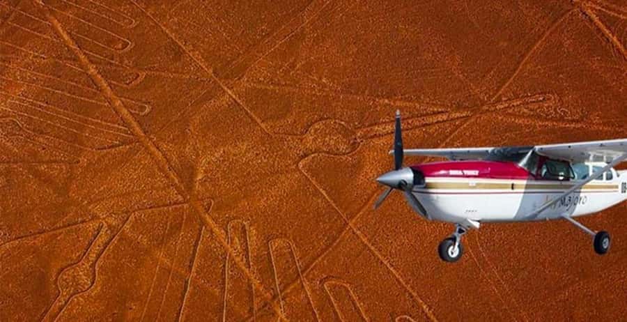 4 Day from Lima: Nazca Lines Flight, Paracas, and Huacachina - Paracas National Reserve + Ballestas Islands: coastal drama and wildlife you don’t have to search for