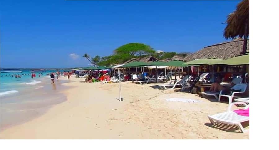 4 en 1 ISLAS DEL ROSARIO ACUARIO ISLA BARU PLANTON - Puntos clave que te conviene tener en mente