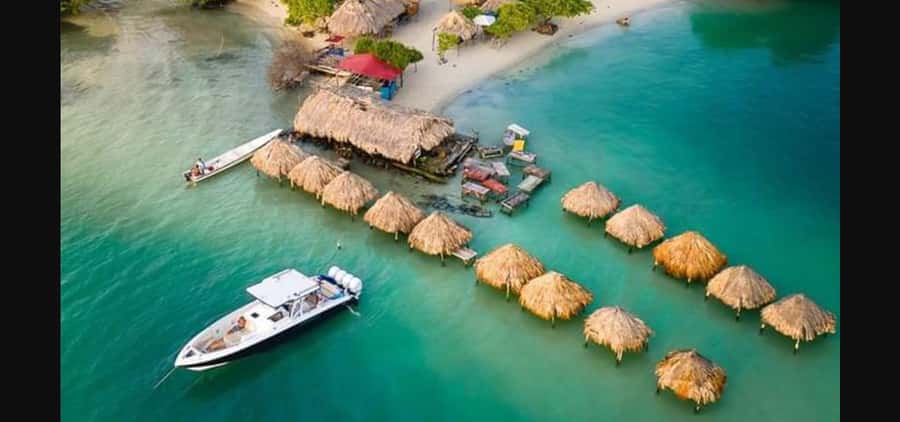 4 en 1 ISLAS DEL ROSARIO ACUARIO ISLA BARU PLANTON - Idioma y servicio al cliente: lo que debes confirmar antes de pagar