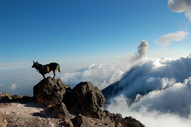 Acatenango Volcano 2-Day Hike - What’s included (and why that changes the value)
