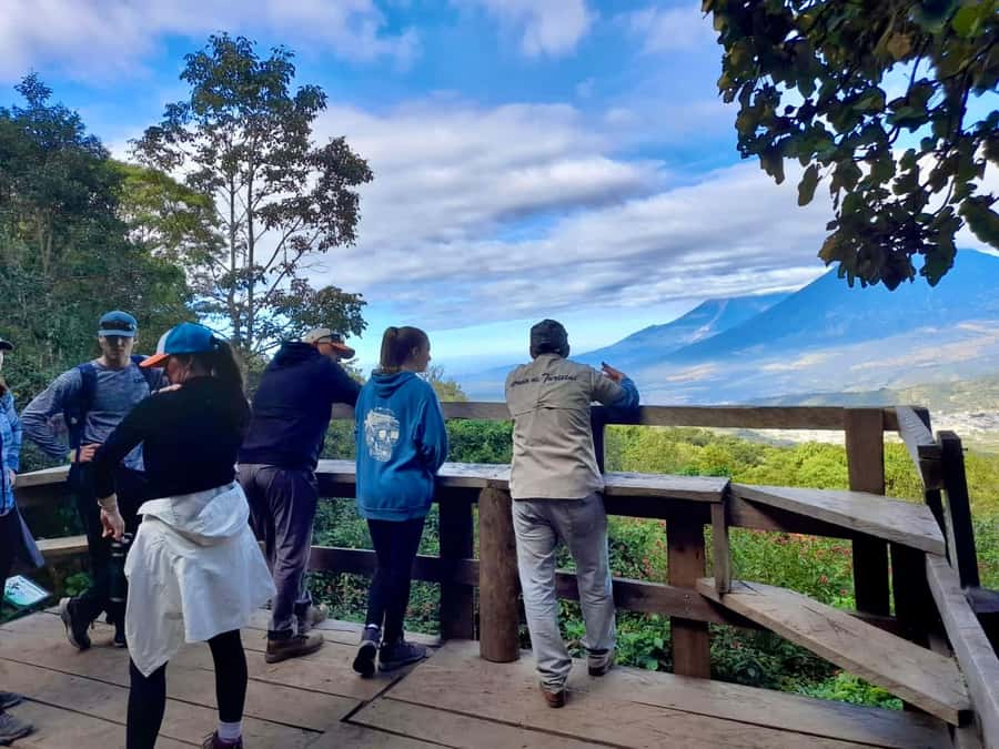 Antigua Guatemala: Private Day Tour to Pacaya Volcano - Why Pacaya Works So Well as a Day Trip From Antigua