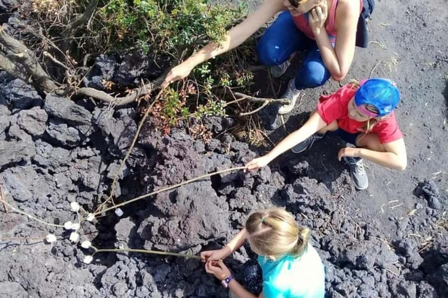 Antigua Guatemala: Private Day Tour to Pacaya Volcano - Hitting Pacaya on Foot: Where the Guide Really Adds Value