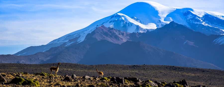 Arequipa | Ascent to Chachani Volcano 2 days / 1 night - Who should book this Chachani ascent, and who should skip it