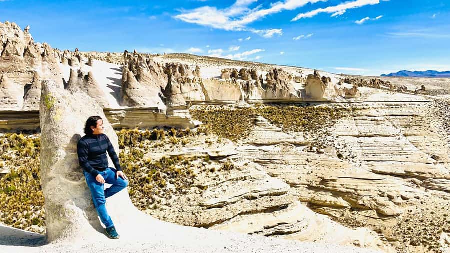 Arequipa: Catarata de Pillones and Bosque de Piedras Tour - Pampa Cañahuas: vicuñas and Misti views without rushing