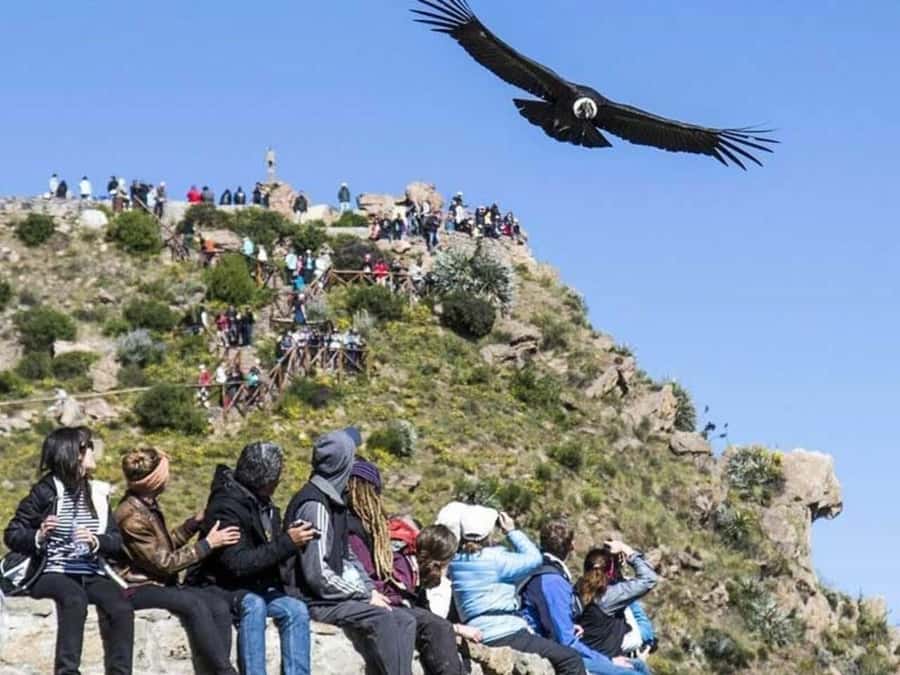 Arequipa: Colca Canyon Trekking 2 days and 1 night + food - Colca Canyon starts with a pre-dawn jump from Arequipa
