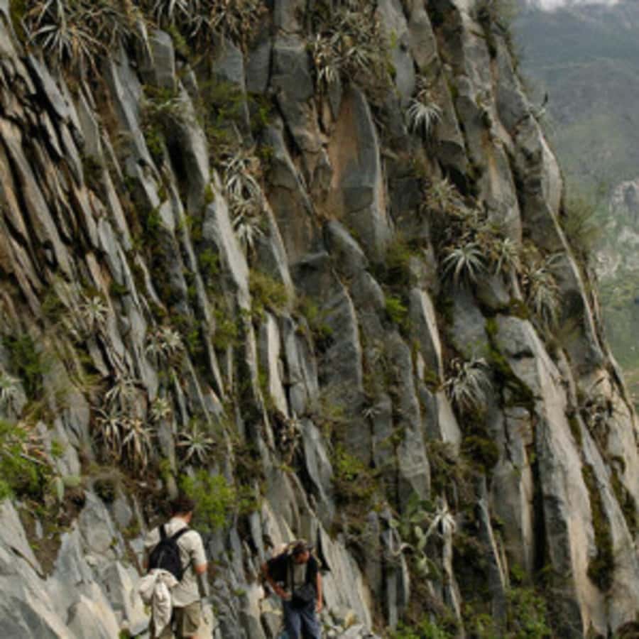 Arequipa: Colca Canyon Trekking 2 days and 1 night + food - Chivay thermal baths and the wildlife viewing on the return ride