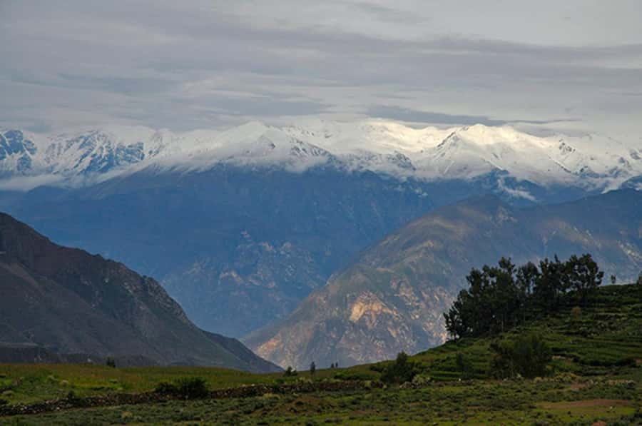 Arequipa: Colca Canyon Trekking 2 days and 1 night + food - The guide makes a difference on hard days