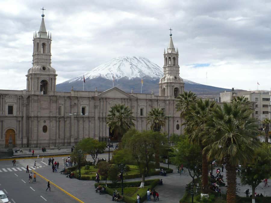 Arequipa Panoramic Bus Tour - Camelids at Incalpaca Outlet and Zoo: Popular, But Time-Sensitive
