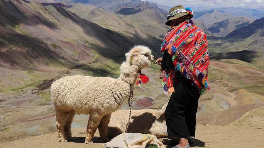 Arrive before the crowd to the Mountain in private service - Leaving Cusco at 3:30am: beating the crowd and the chaos