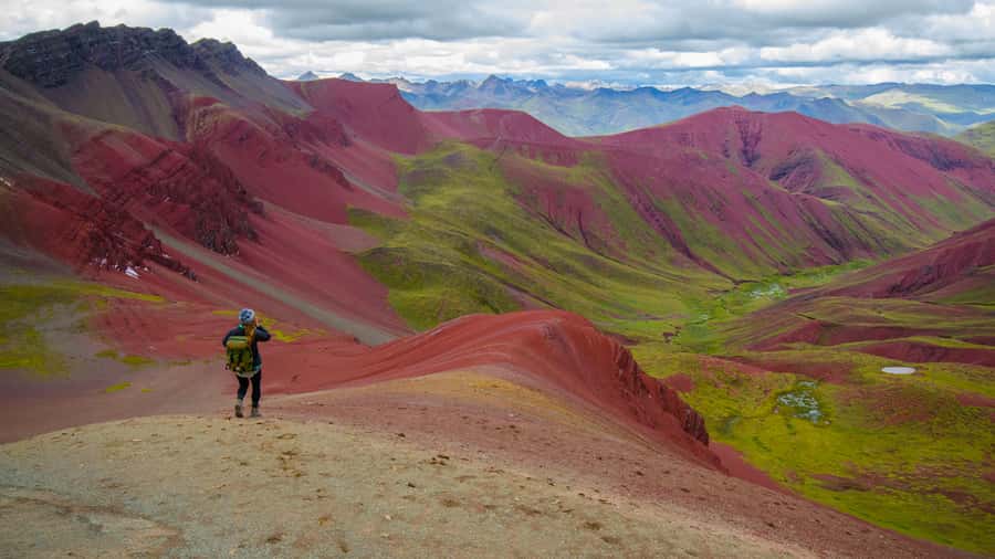 Arrive before the crowd to the Mountain in private service - The hike up: 1.5 hours each way at a moderate pace