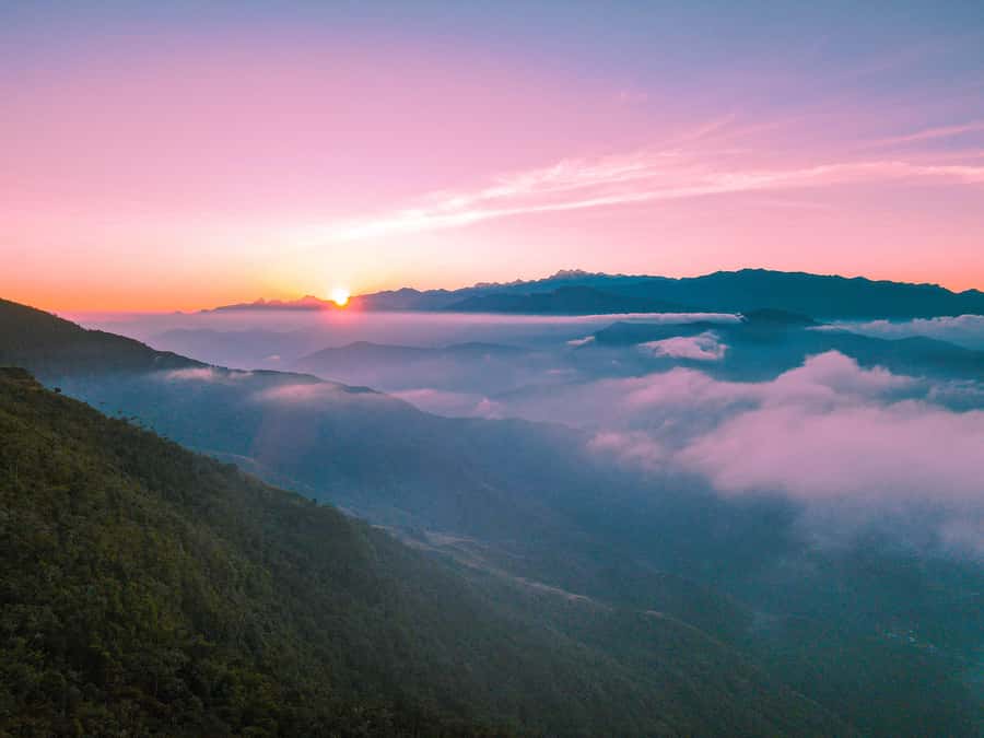Avistamiento de aves en Minca Sierra Nevada de Santa Marta - Salida temprana desde Santa Marta: por qué vale la pena madrugar