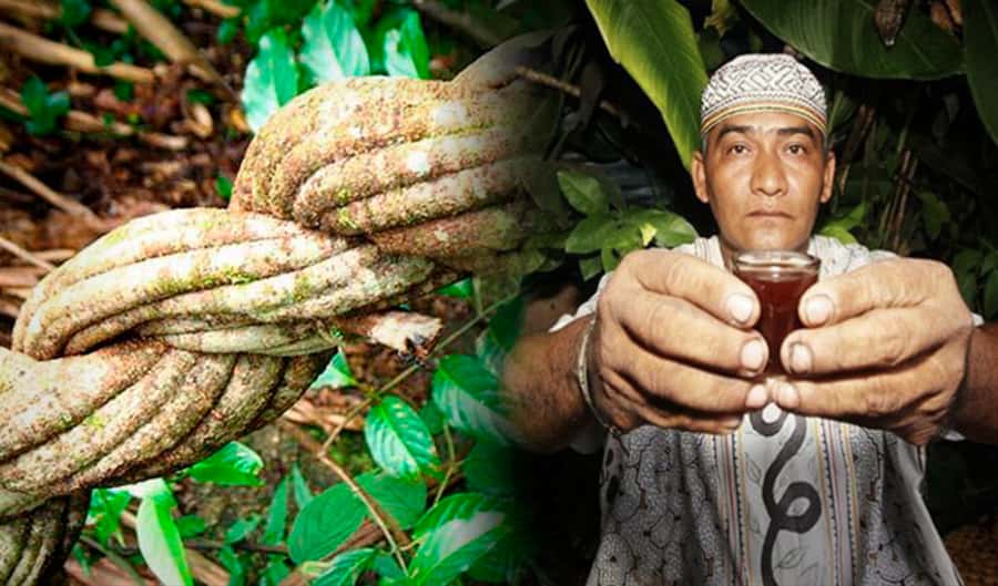 Ayahuasca Ceremony 1 Day in Cusco - Cusco to Pisac: how the day is paced before the ceremony