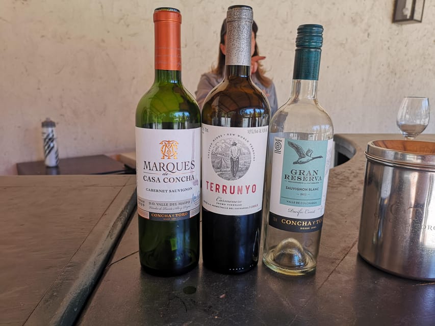 Bahá’í Temple, Winery and Lapis Lazuli + Private Transport - Cousiño Macul in Santiago: city vineyards and four wine tastings
