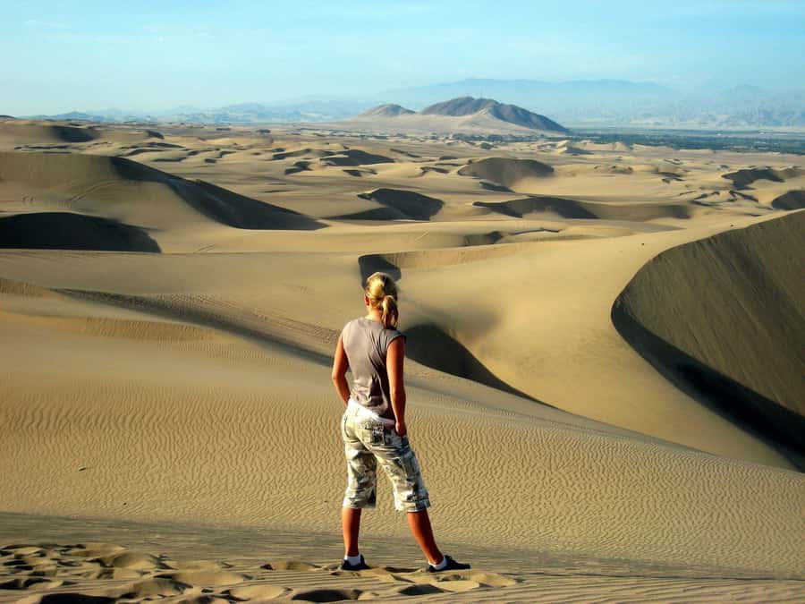 Ballestas Islands and Huacachina Oasis Half-Day Tour - Ica After the Ocean: Vineyard Wine, Pisco Stories, and City Stops