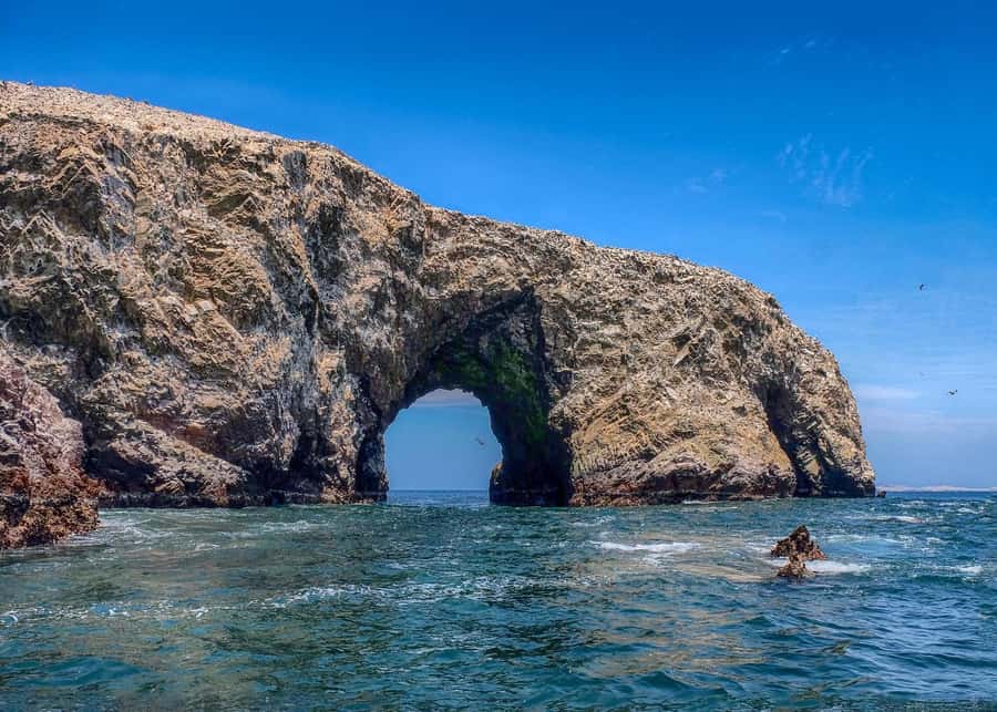 Ballestas Islands and Huacachina Oasis Half-Day Tour - Price and Value: Is $118 a Fair Trade for All This?