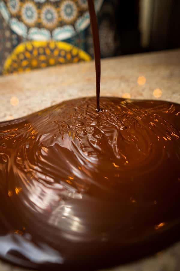 Bean to Bar: Cocoa and Chocolate Workshop - Tasting Percentages Like 40%, 46%, 80%, and 100%