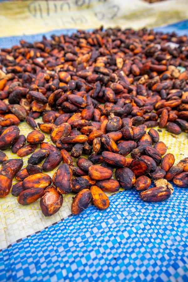 Bean to Bar: Cocoa and Chocolate Workshop - What the Private Group Format Changes