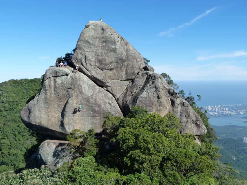 Bico do Papagaio Guided Hiking Tour in the Tijuca Forest - Key Highlights You’ll Actually Feel