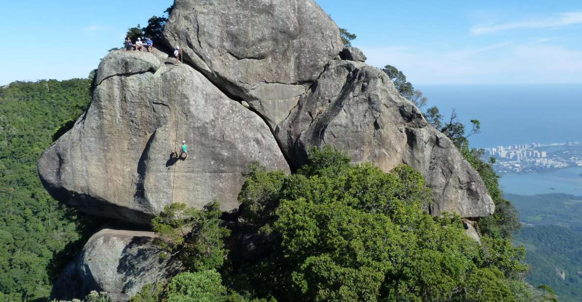 Bico do Papagaio Guided Hiking Tour in the Tijuca Forest - Start at Alto da Boa Vista: how your day kicks off