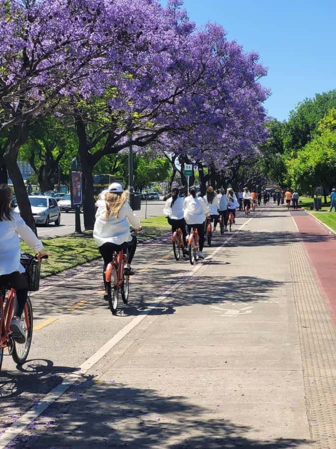 Bike Tour: Buenos Aires to the North - Plaza General San Martín and the Law School: History You Can Walk Through
