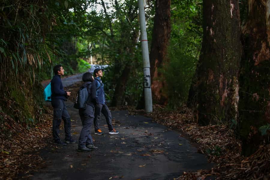 Birding Medellin with expert bird-watcher (Private) - Breakfast, snacks, and why feeding you is smarter than it sounds