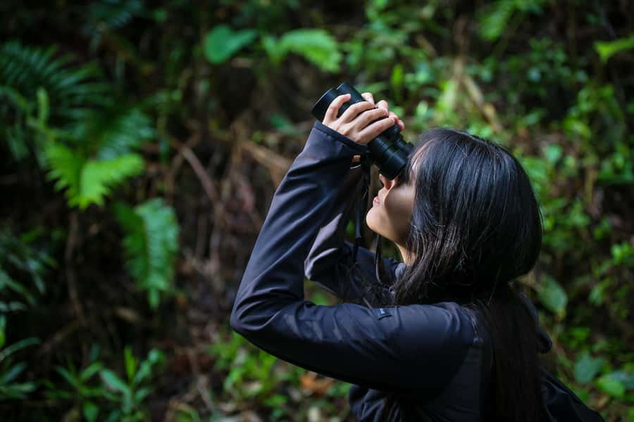 Birding Medellin with expert bird-watcher (Private) - Quick take: what makes this bird tour special