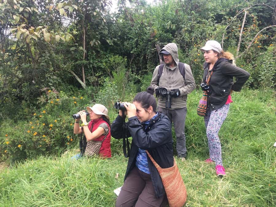 Birdwatching Day Tour at Chicaque Natural Park - Key things I’d plan around
