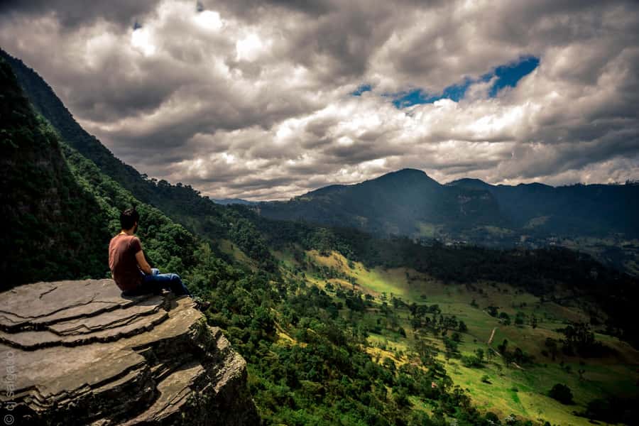 Birdwatching Day Tour at Chicaque Natural Park - Getting started: hotel pickup across Bogotá (and why it matters)