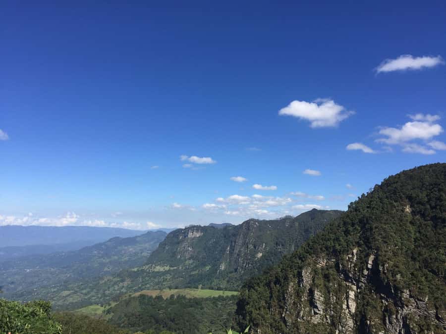 Birdwatching Day Tour at Chicaque Natural Park - Food and pacing: what to plan for when lunch isn’t included