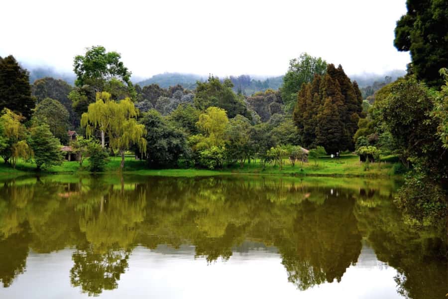 BOGOTA: Ancestral Exploration, Tour Facatativá, Piedras del Tunjo and Zipacón - How This 6.5-Hour Savannah Day Actually Works