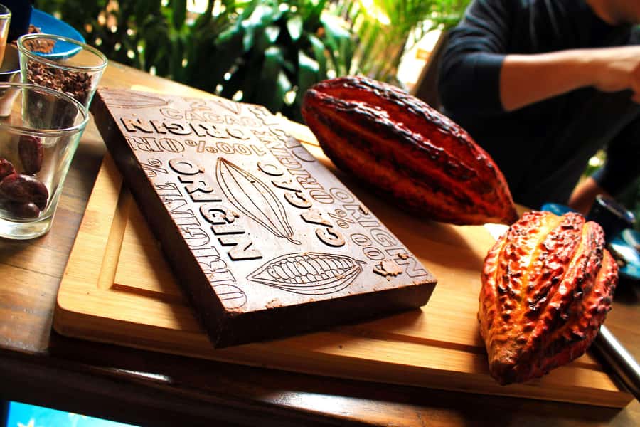 Bogotá: Candelaria Tour with Cacao and Coffee Workshop - Who should book this tour (and who should think twice)