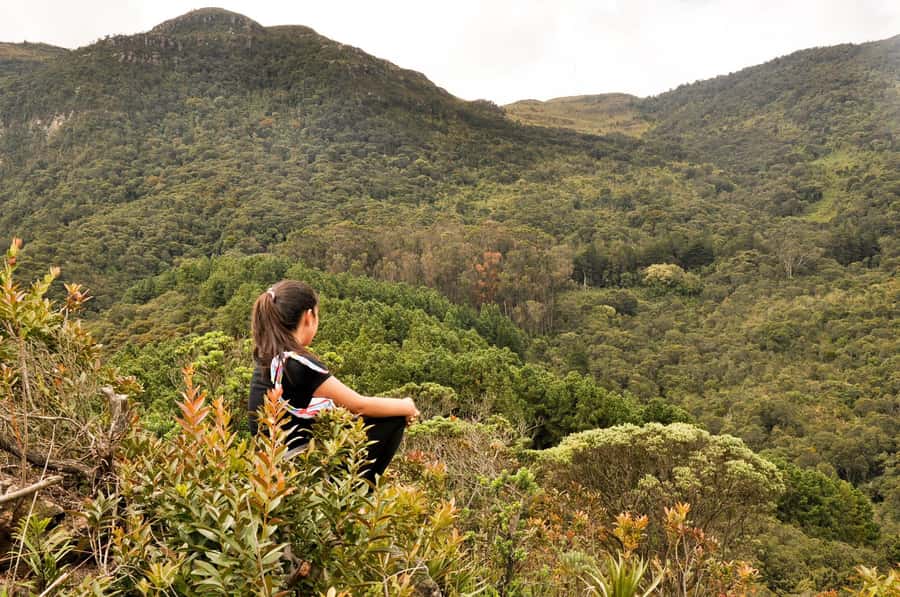 Bogota: East Hills Mountain Hike - The 3 Kilometers Each Way: What the Route Feels Like in Real Life