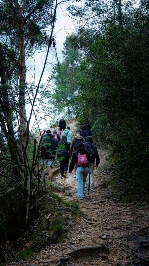 Bogota: East Hills Mountain Hike - Price and Logistics for $80: Is It Good Value?