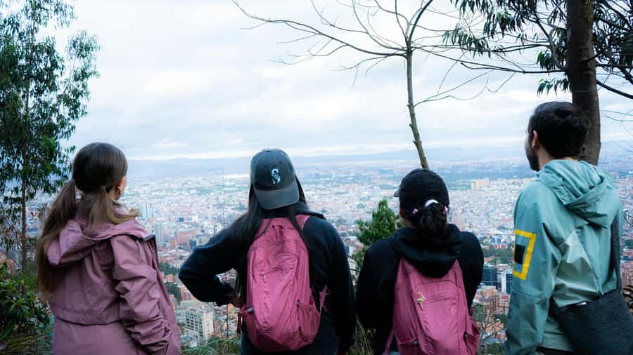 Bogota: East Hills Mountain Hike - Altitude, Paramó Plants, and the Biodiversity Lesson You’ll Actually Remember
