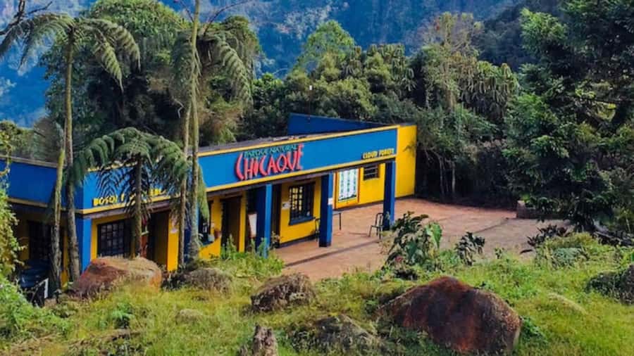 Bogota: Explore the forest and bird watching at Chicaque Natural Park - Key Things That Make Chicaque Worth Your Time