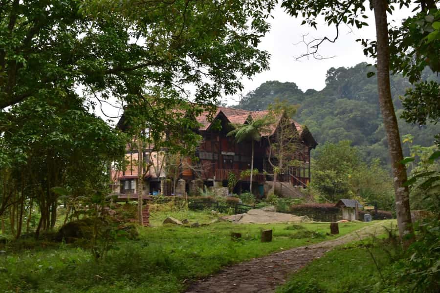 Bogota: Explore the forest and bird watching at Chicaque Natural Park - Morning on the Trails: Guided Hikes and Bird Watching Time