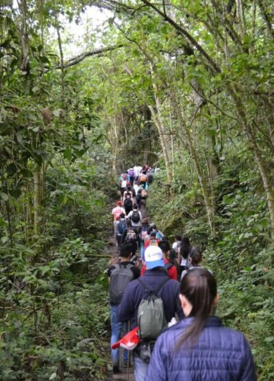 Bogota: Explore the forest and bird watching at Chicaque Natural Park - Getting There From Bogotá: Private Transport That Keeps the Day Simple