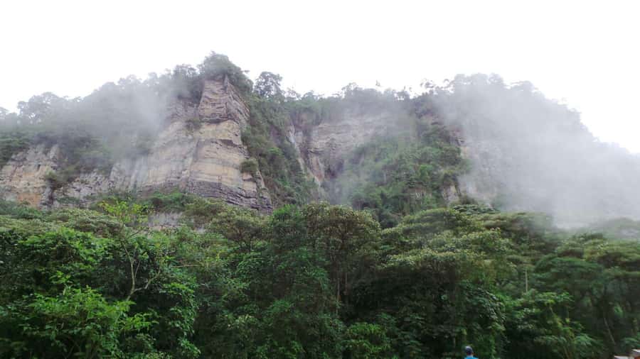 Bogota: Explore the forest and bird watching at Chicaque Natural Park - The Chicaque Waterfall Stop: The Moment Most People Remember
