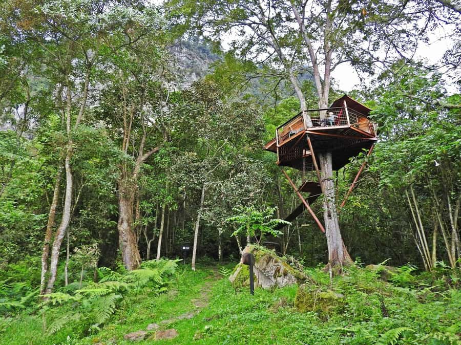 Bogota: Explore the forest and bird watching at Chicaque Natural Park - Lunch in Nature: A Real Reset Between Hikes