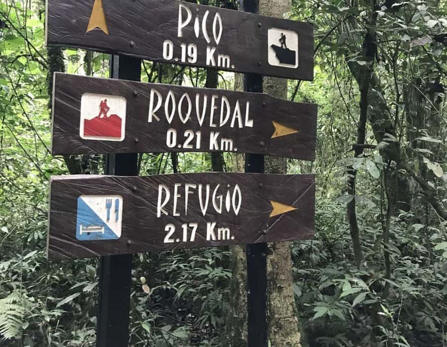Bogota: Explore the forest and bird watching at Chicaque Natural Park - Free Time After Lunch: Bird Watching, Photos, or Quiet