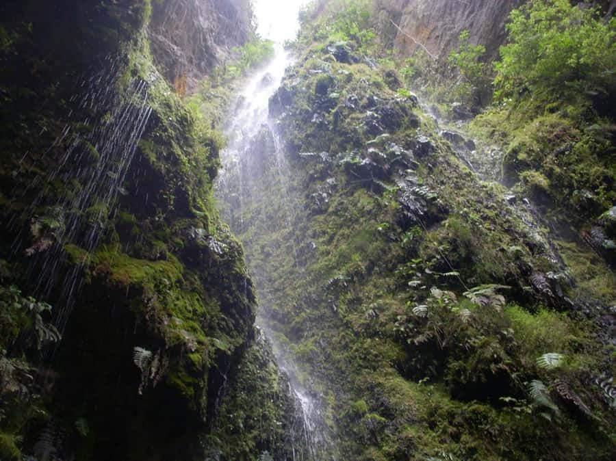 Bogota: Explore the forest and bird watching at Chicaque Natural Park - What to Bring: Wear for Mud, Weather, and Birds