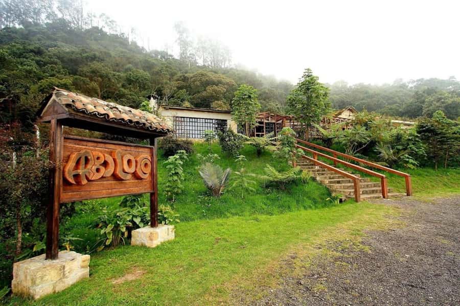 Bogota: Explore the forest and bird watching at Chicaque Natural Park - Who This Tour Fits Best (And Who Might Want Something Else)