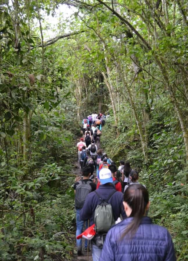 Bogota: Explore the forest and bird watching at Chicaque Natural Park - Getting There From Bogotá: Private Transport That Keeps the Day Simple
