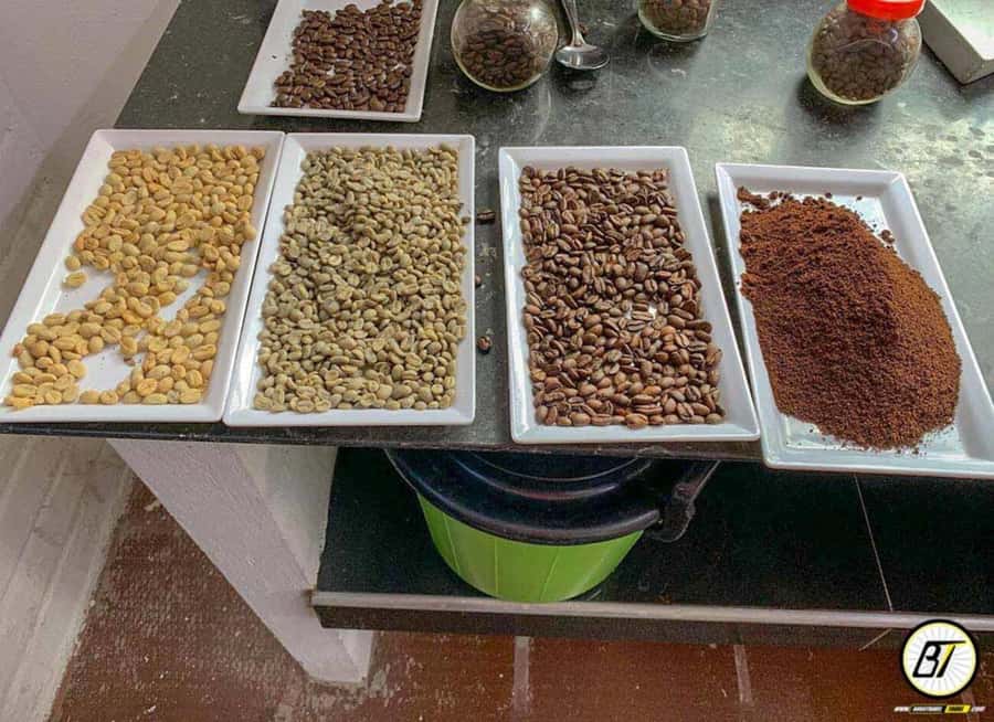 Bogotá: Guided Coffee Tour with Lunch, and Pickup & Drop-Off - Walking the grounds at Hacienda Coloma