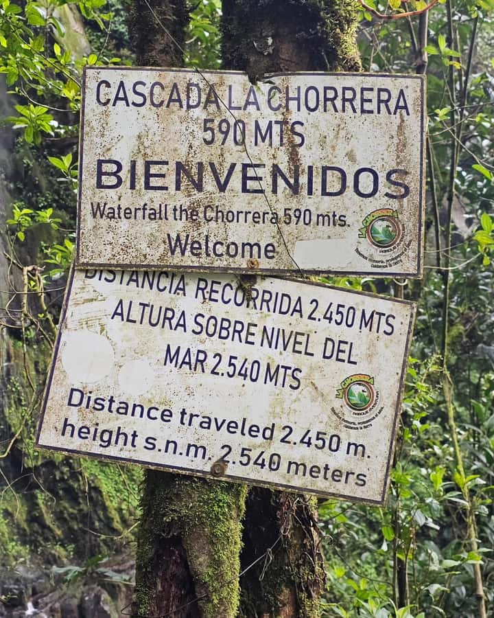 Bogota: Hike to La Chorrera Waterfall, El Chiflón and Guadalupe Hill - La Chorrera: the main event and Colombia’s highest waterfall
