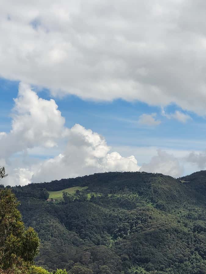 Bogota: Private Tour to Monserrate and Guadalupe - Price and logistics: does $78 make sense?