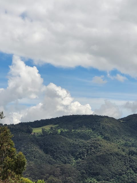 Bogota: Private Tour to Monserrate and Guadalupe - Who this tour suits best (and who should skip it)